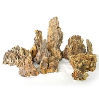 Petworx Natural Aquascape Rock Aleveolate Rock per 1kg Dragon Stone