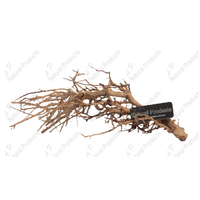 AP Naturals Tiny Ramous Wood 20-40cm