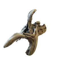 Aqua Natural New Zealand Exotic Wood Medium 30cm