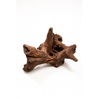 Dalua River Driftwood Large 30-45cm