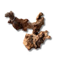 Dalua Coral Wood Small