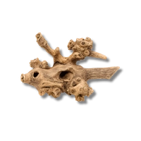 Dalua Coral Wood Large