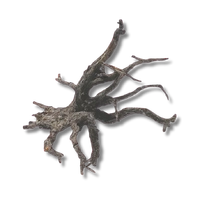 Dalua Haunted Forest Wood XS 20-25cm