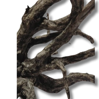 Dalua Haunted Forest Wood XXL 60+cm
