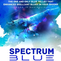 SAS Spectrum Blue Pellet 30g