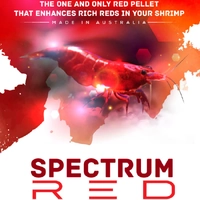 SAS Spectrum Red Pellet 30g