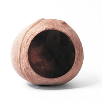 Coconut Whole House Coconut002