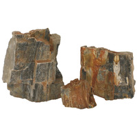 AP Natural Petrified Wood Stone 1kg