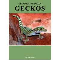 Keeping Australian Geckos