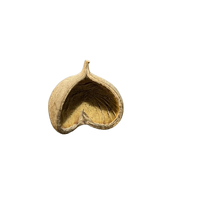 Blackwater Budha Pod Medium Botanical