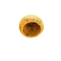 Blackwater Guava Seed Pod Botanical