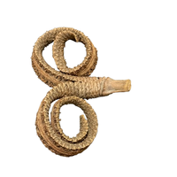 Blackwater Palmyrah Rams Horn Stem Large Bodanical