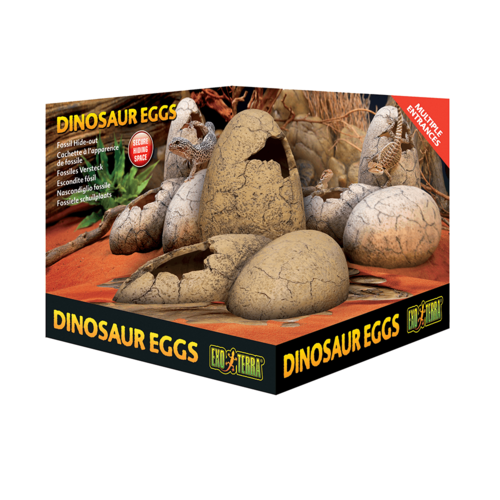 Exo Terra Dinosaur Eggs Hide Out