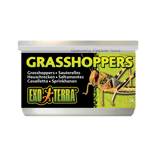 Exo Terra Wild Grasshoppers 34g