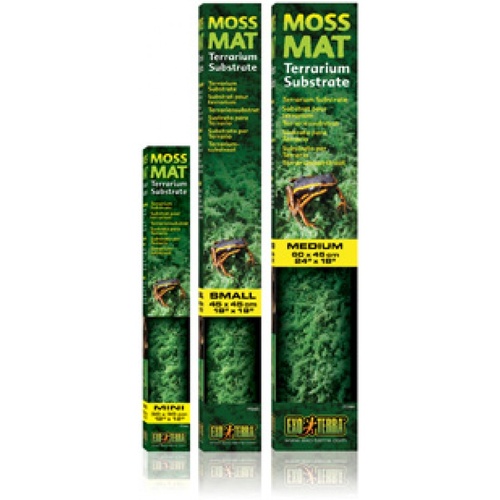 Exo Terra Forest Moss Mat Small 45x45cm