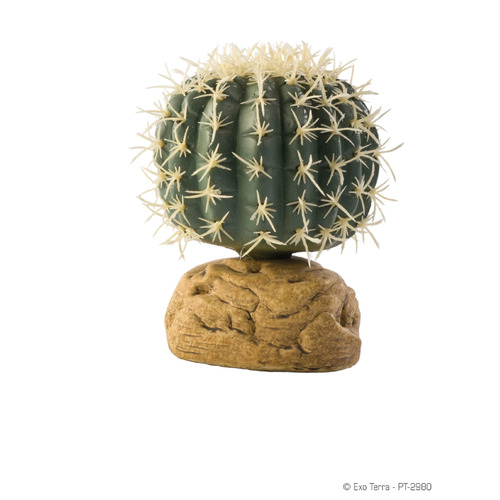 Exo Terra Barrel Cactus Small 7cm