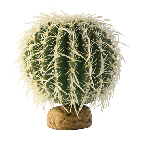 Exo Terra Barrel Cactus Medium 13cm