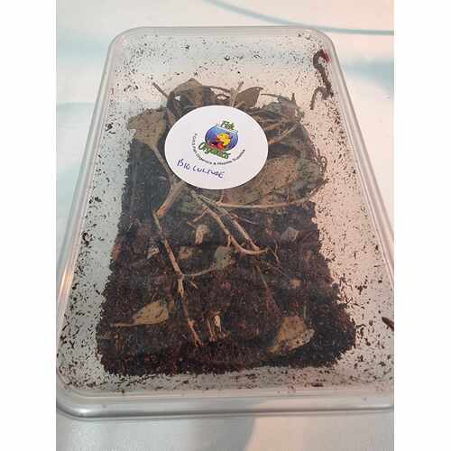 Bio Active Cultures Tub