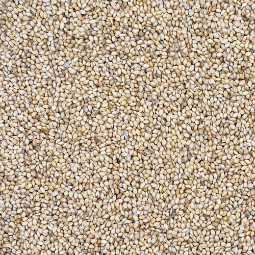 Shirohie Millet 2.5kg