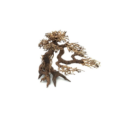 Bonsai Driftwood 25x20cm