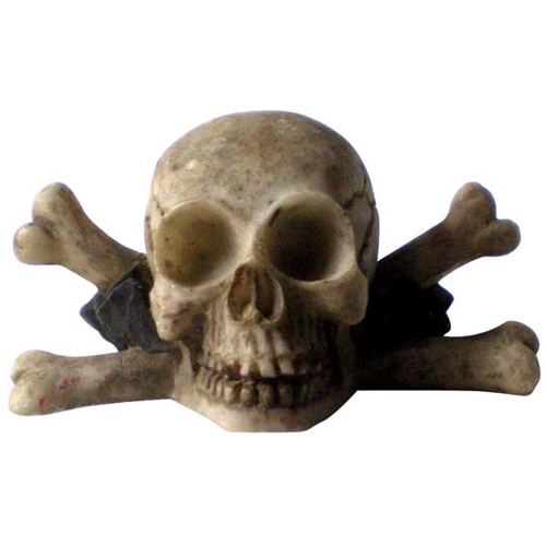 Petworx S Skull 7cm CH4183