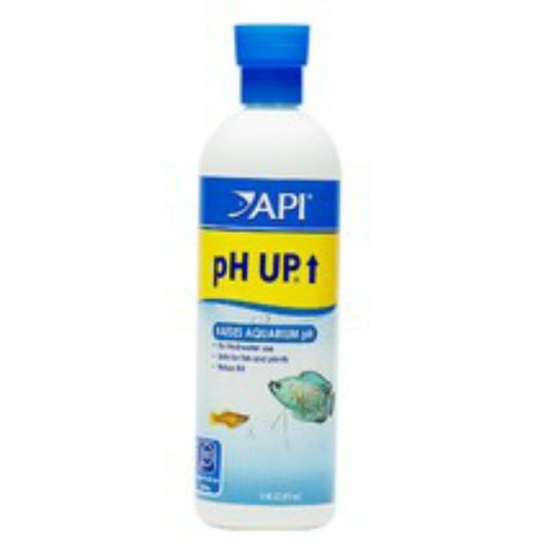 Api Ph Up Liquid 118Ml