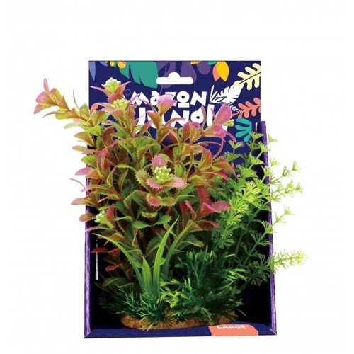 Amazon Jungle Mixed Ludwigia Display 20cm