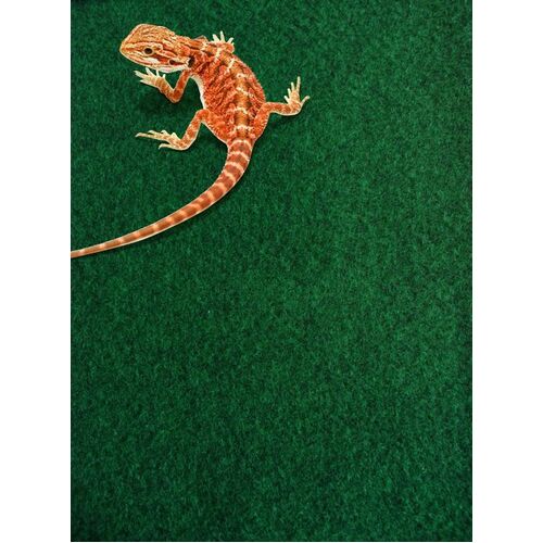 Komodo Reptile Carpet 120x60cm Habitat Substate