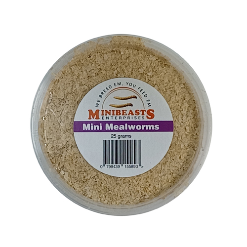 Minibeasts Mini Mealworm Tub 25g 5-10mm