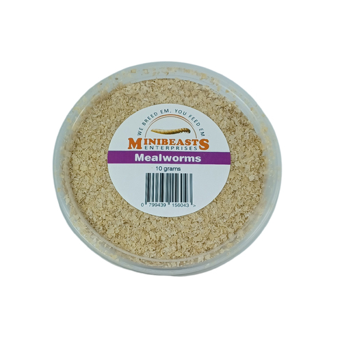 Minibeasts Mealworm Tub 10g 30-35mm