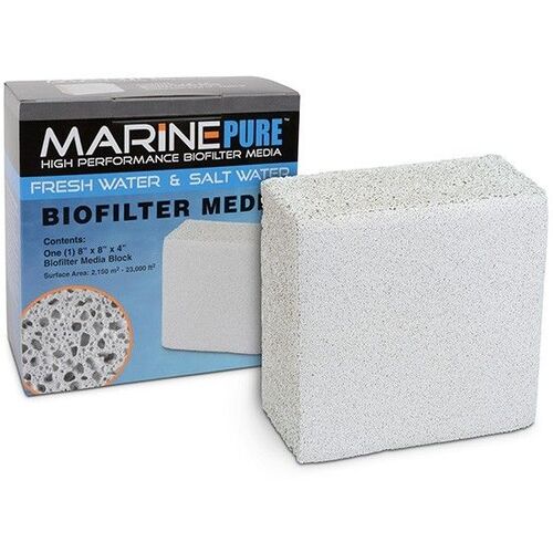 MarinePure 8x8x4" Block
