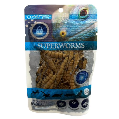 Jurassic Natural Superworm 20g Super Fresh Insects