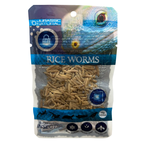Jurassic Natural Riceworm 15g Super Fresh Insects