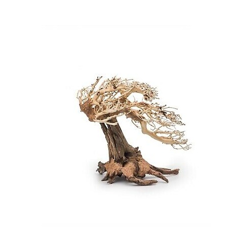 Bonsai Driftwood 15x12cm Standard