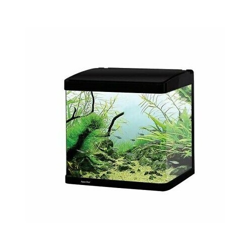 Betta Haven Acrylic Tank 7L - Aqua One