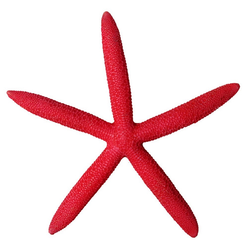 Aqua One Hermit Crab Red Starfish 37179R
