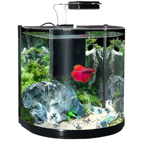 Aqua One BT 10 Betta Glass Aquarium Set 10L Black 56295BK