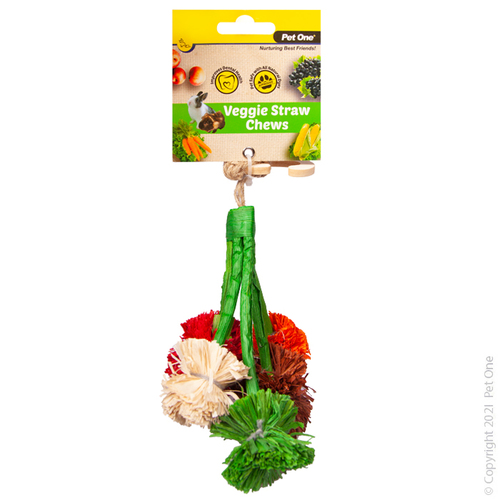 Pet One Veggie Straw Chew Broccoli Hanging 14cm 20476