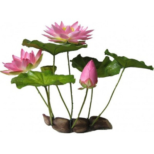 Underwater Pink Lilly Plant 40Cm Cpp45