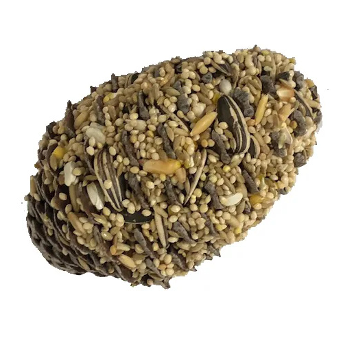 Avione Large Seed Pinecone