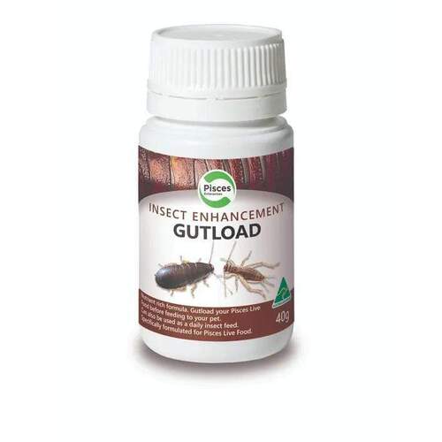 Pisces Insect Enhancement Gutload 40g