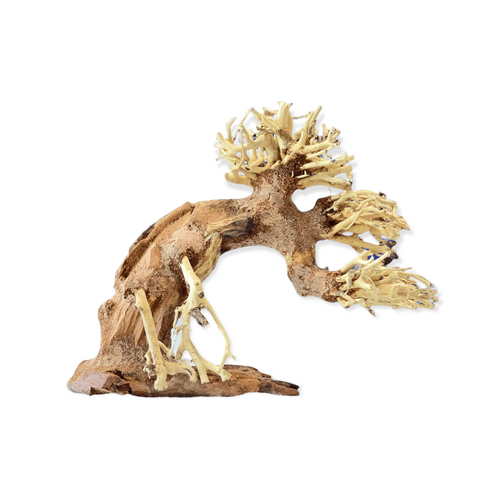 Petworx Bonsai Driftwood Small 15cm