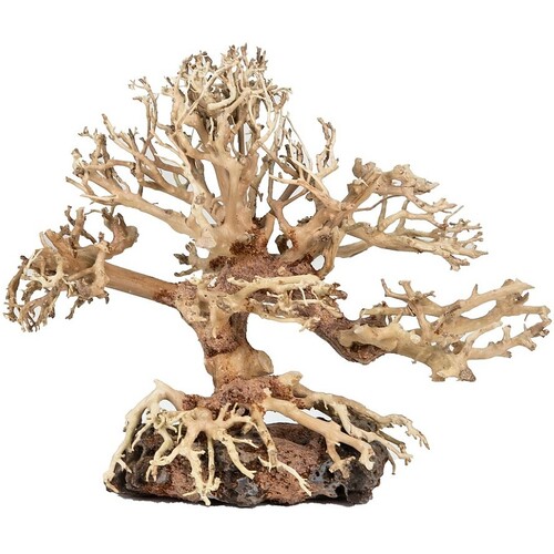 Petworx Bonsai Banyan Tree Large