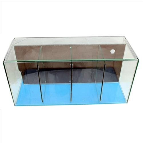 Petworx 4 Bay Fighter Tank For Betta and Fighting Fish