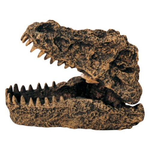 Petworx Croc Head Air Operated Dinosaur Head Ornament 11X7X8Cm