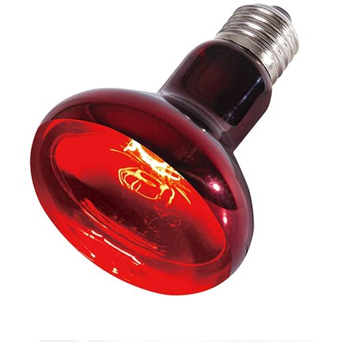 Sparkzoo Infrared Uva Heat Lamp 60W