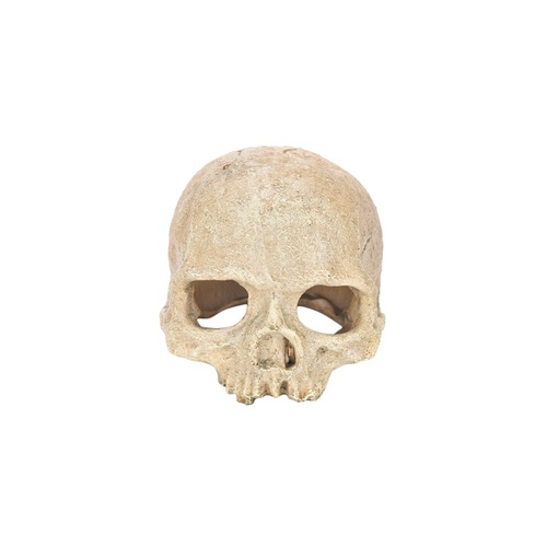 Petworx Skull 15cm