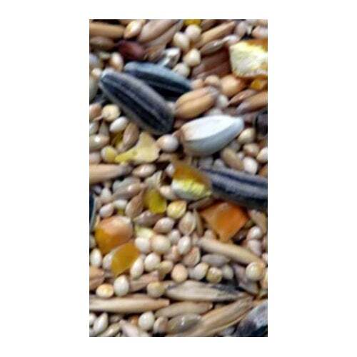 Avigrain Small Parrot Mix 1kg