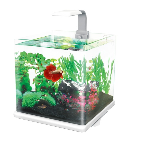 aquatopia fish tank