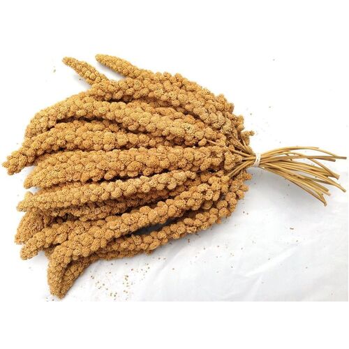 Millet Spray Bird Treat 5kg